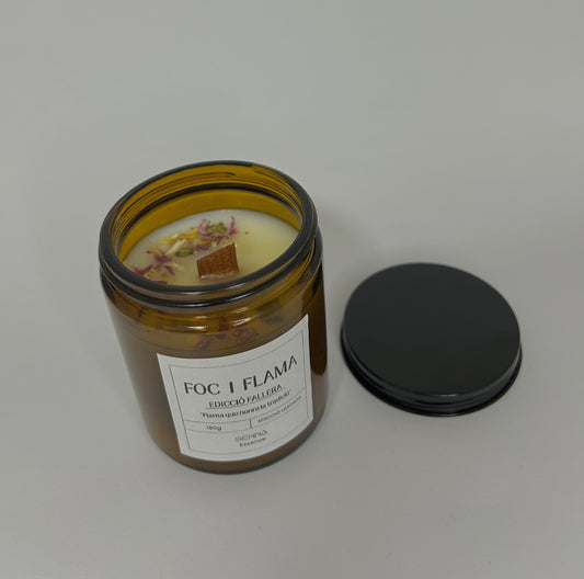 FOC I FLAMA VALENCIANA🔥🌸