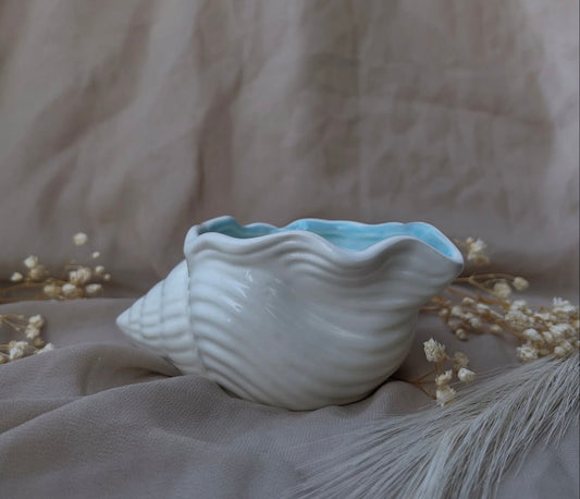 Vela decorativa y aromática · Concha