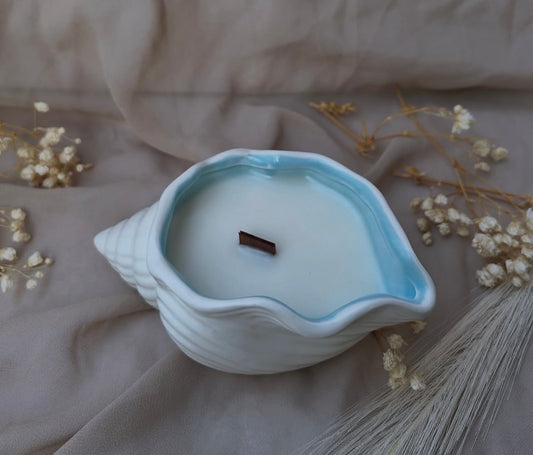 Vela decorativa y aromática · Concha